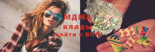 хмурый Алексин