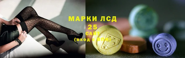 хмурый Алексин