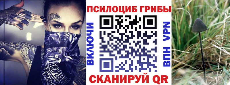 KRAKEN вход  наркошоп  Чекалин  Псилоцибиновые грибы Magic Shrooms 