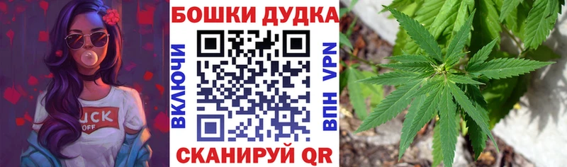 Канабис гибрид  купить наркотики цена  Чекалин 